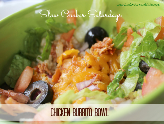 Chicken Burrito Bowl