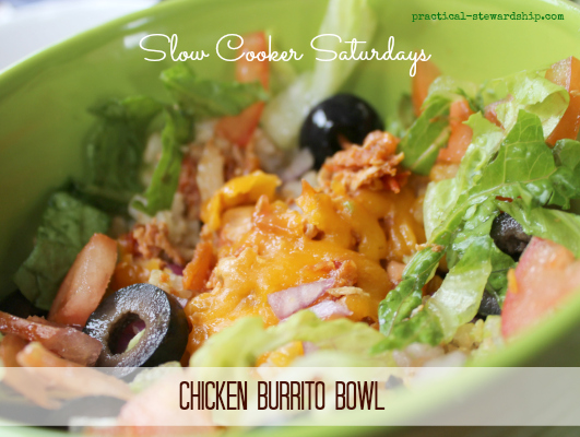 https://practical-stewardship.com/wp-content/uploads/2012/05/Green-Chicken-Burrito-Bowl.jpg