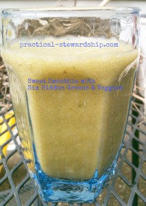 Sweet Smoothie with 6 Hidden Veggies & Greens @ practical-stewardship.com