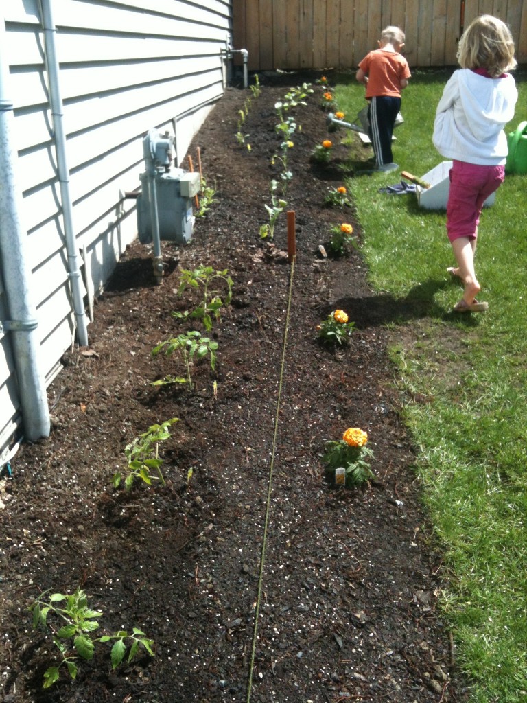 Planting the Garden