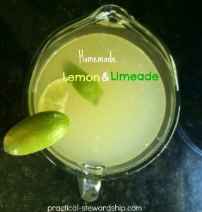Lemon and Limeade Recipe