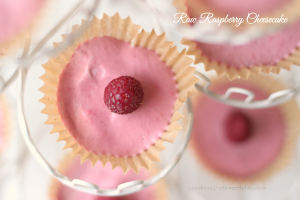 Raw Raspberry Cheesecake, G-f, Vegan opt., D-F