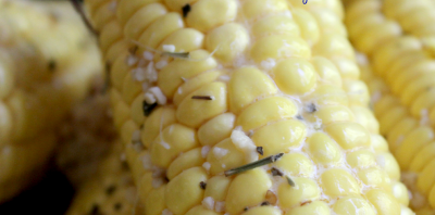 Slow Cooker Corn on the Cob