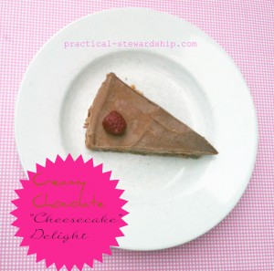 Creamy Chocolate Cheesecake Delight Slice