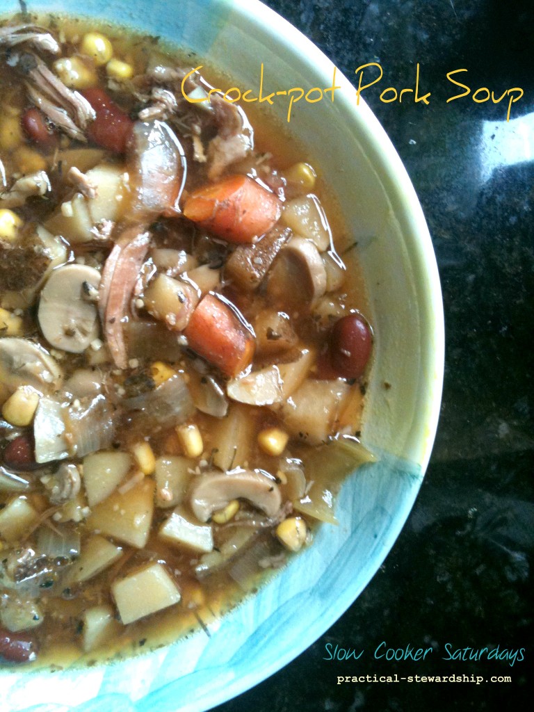 Crock-pot Pork Soup