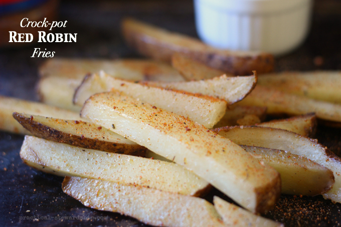 Copycat Red Robin Fries + Video - The Slow Roasted Italian