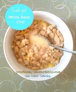 Crock-pot White Bean Chili