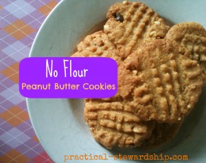 Peanut Butter Cookies No Flour