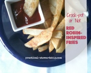 Red Robin-Inspired Fries Crock-pot or not