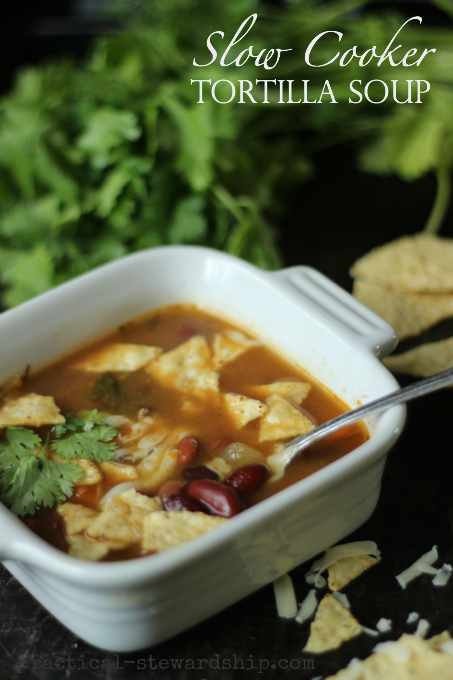 Slow Cooker Tortilla Soup