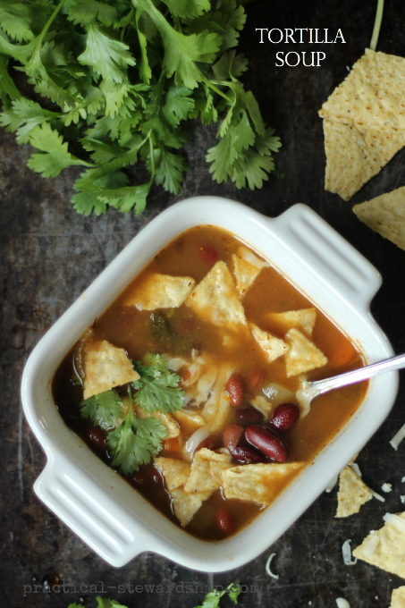 Slow Cooker Tortilla Soup