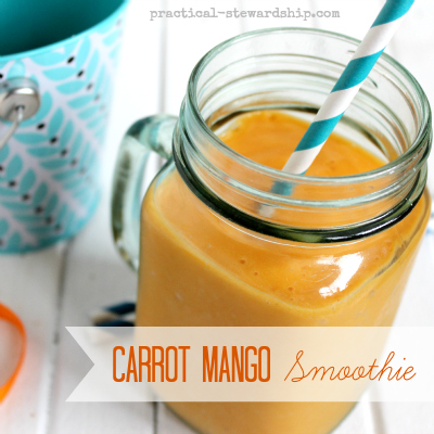 Carrot Mango Smoothie - Practical Stewardship