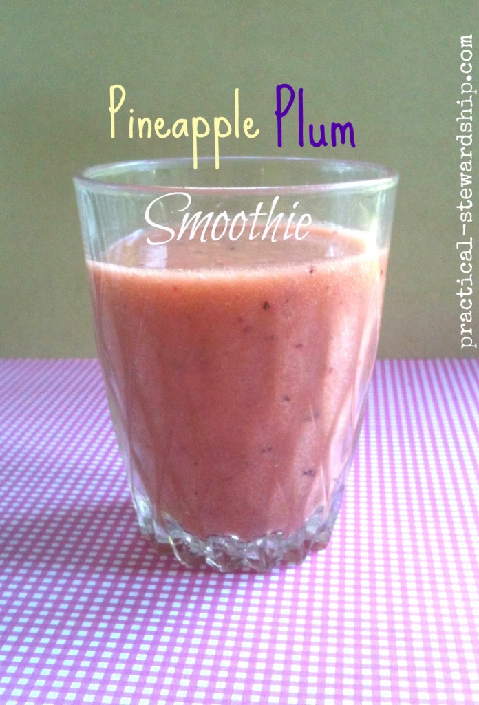 Pineapple Plum Smoothie