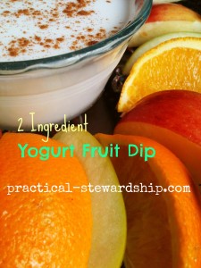 Yogurt Fruit Dip @ practical-stewardship.com