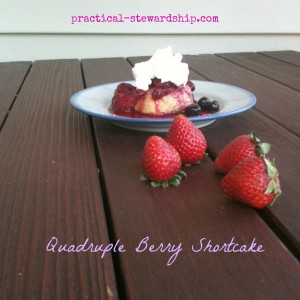 Berry Shortcake