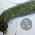 Double Chocolate Yogurt Zucchini Bread