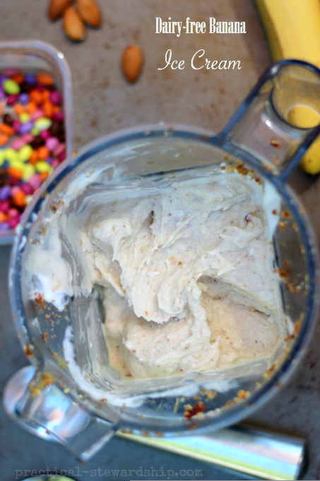 Dairy-free Banana Ice Cream