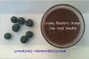 Creamy Blueberry Orange Chia Seed Smoothie