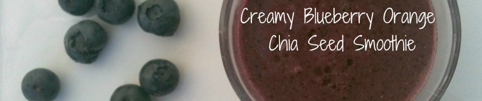 Creamy Blueberry Orange Chia Seed Smoothie