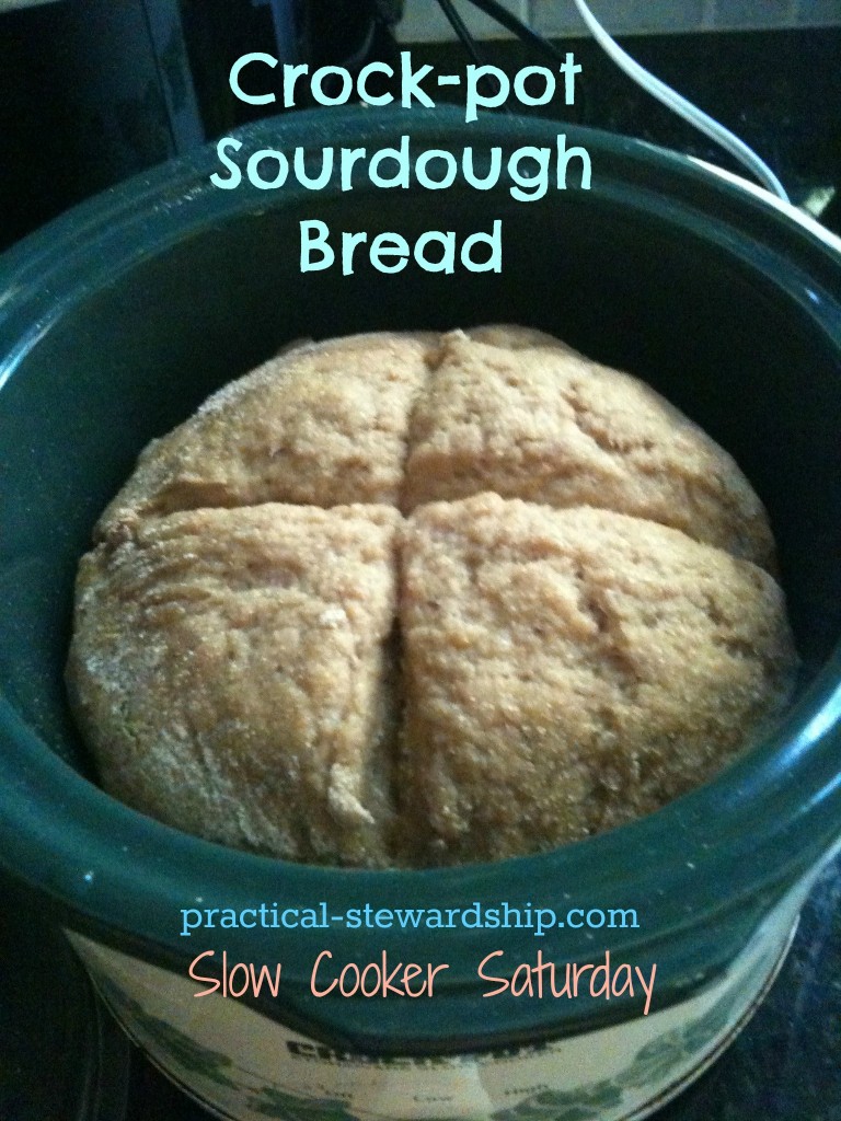 Crock-Pot Sourdough Bread Small