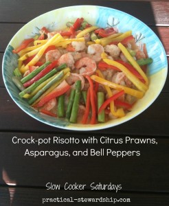 Crock-pot Risotto with Citrus Prawns, Asparagus, & Bell Peppers