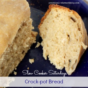 Crock-pot (Sourdough) Bread
