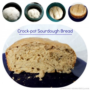 Crock-pot Sourdough Bread