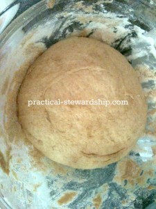 Crock-pot Sourdough Bread
