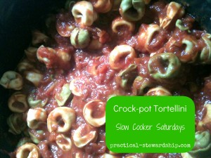 Healthy Travel Tip: Use a Crockpot - Road Warriorette