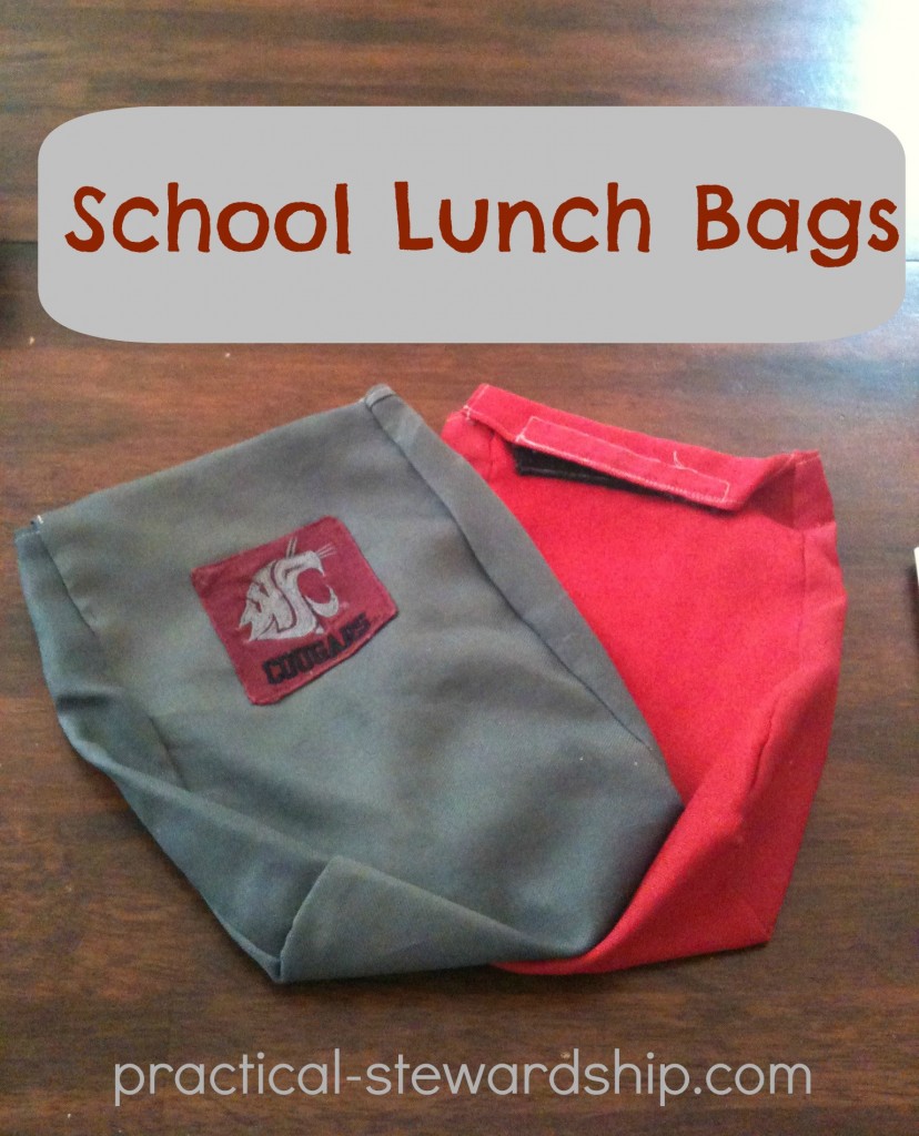 DIY Reusable School Lunch Bags