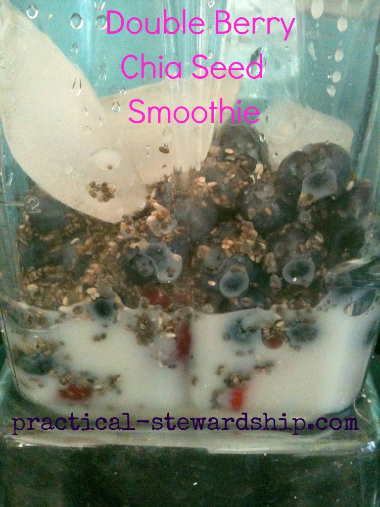 Double Berry Chia Seed Smoothie Unblended @ practical-stewardship.com