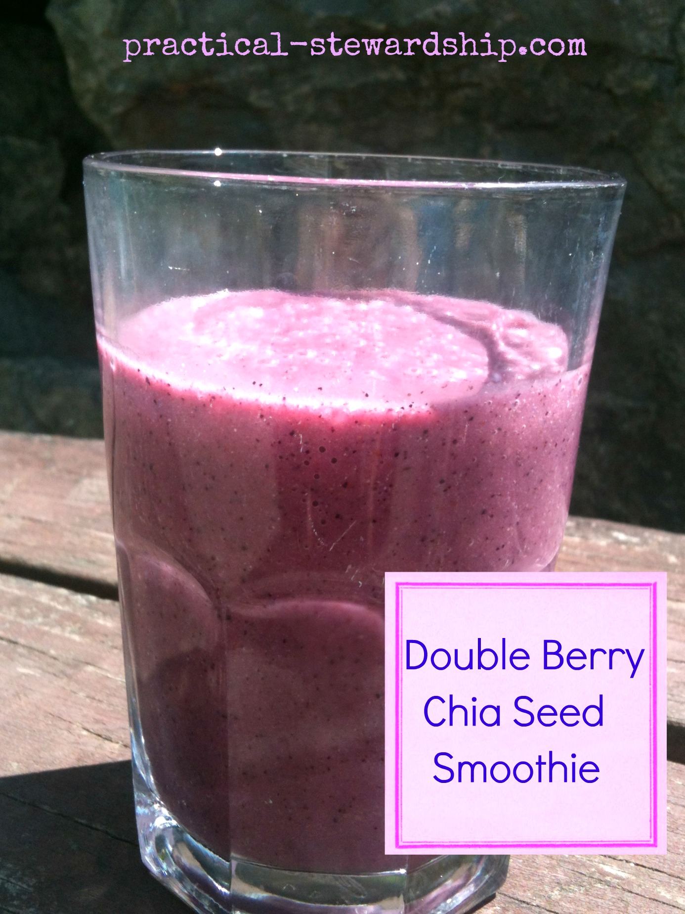 Double Berry Chia Seed Smoothie