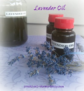 Lavender Oil @ practical-stewardship.com