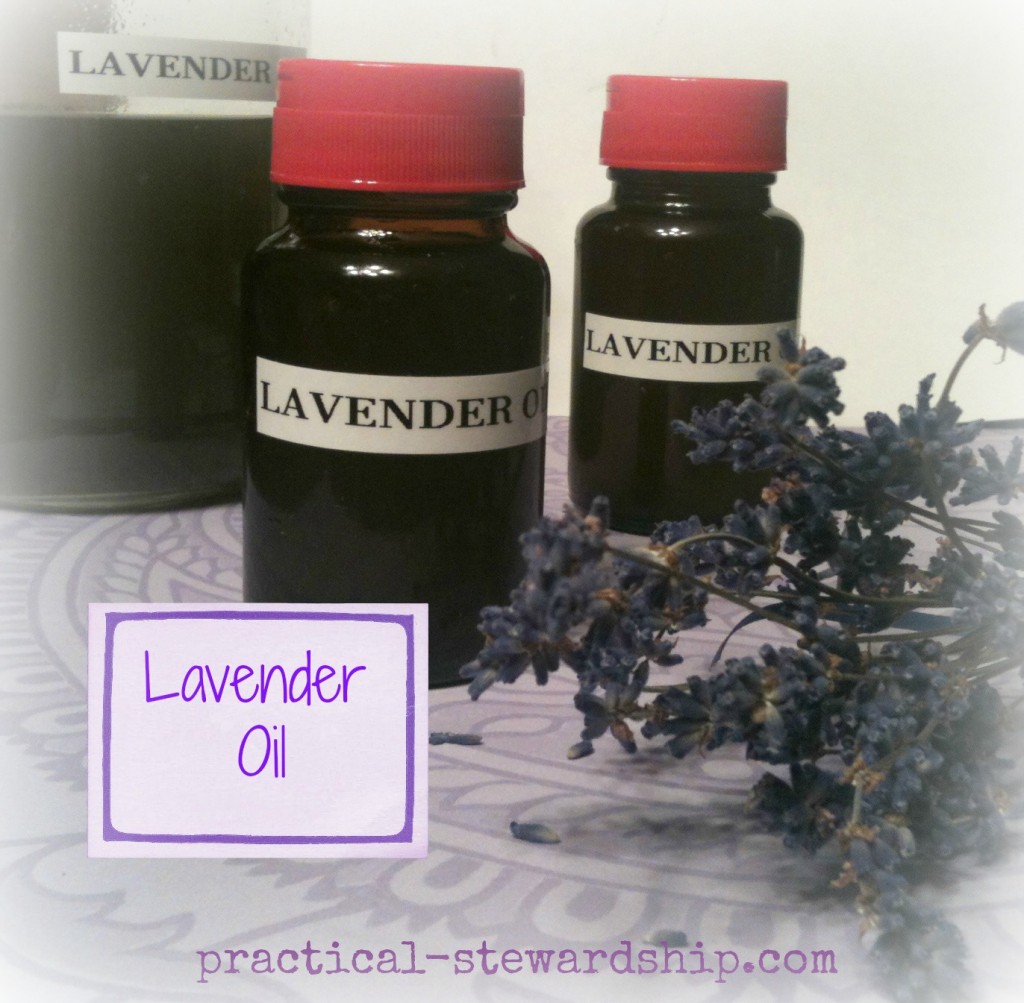 Lavender Oil Bottled @ practical-stewardship.com