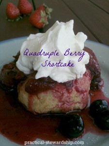 Quadruple Berry Shortcake