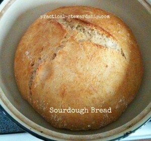 Sourdough Bread @ practical-stewardship.com
