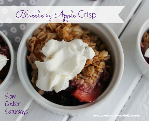 Blackberry Apple Crisp in the Crock-pot D-f G-f