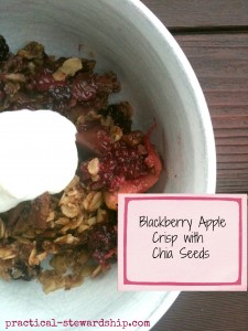 Blackberry Apple Crisp with Chia Seeds in the Crock-pot or Not