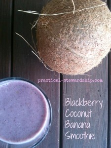 Blackberry Coconut Banana Smoothie @ practical-stewardship.com