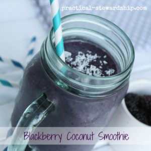Blackberry Coconut Smoothie