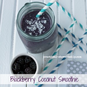 Blackberry Coconut Smoothie with Blackberries