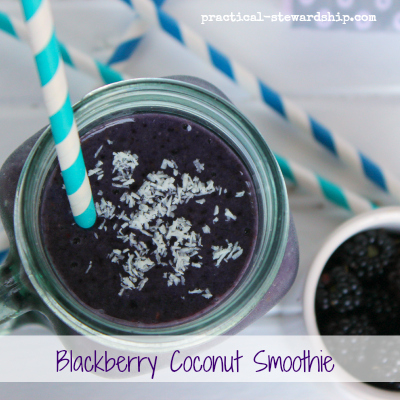 Blackberry and Coconut Smoothie, GF, DF