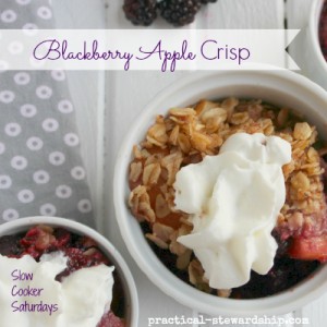 Blackberry Apple Crisp in the Crock-pot