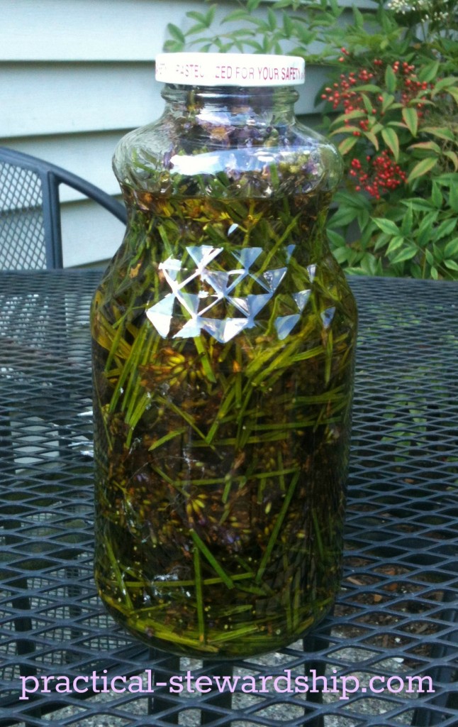 Lavender Oil @ practical-stewardship.com