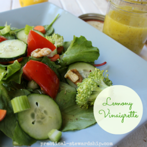 Lemony Vinaigrette with Salad