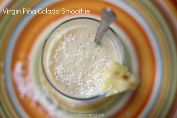 Virgin Pina Colada Smoothie Close Up