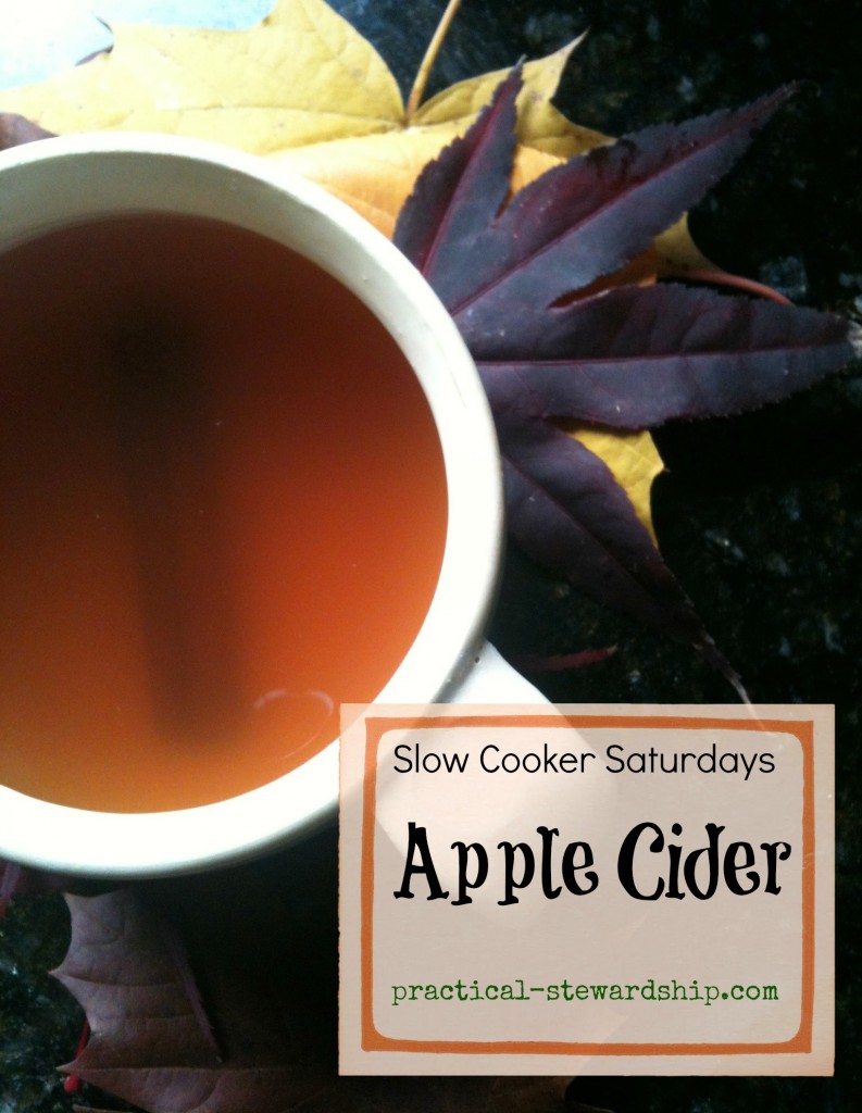 Apple Cider in the Crock-pot @ practical-stewardship.com
