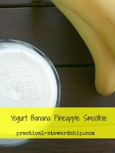 Yogurt Banana Pineapple Chia Seed Smoothie Recipe - Practical Stewardship