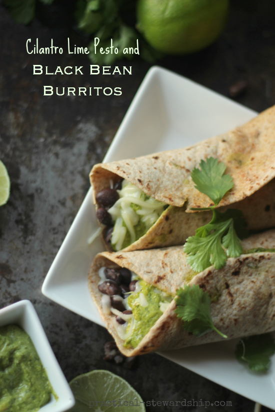 Cilantro Lime Pesto and Black Bean Burrito with Cilantro