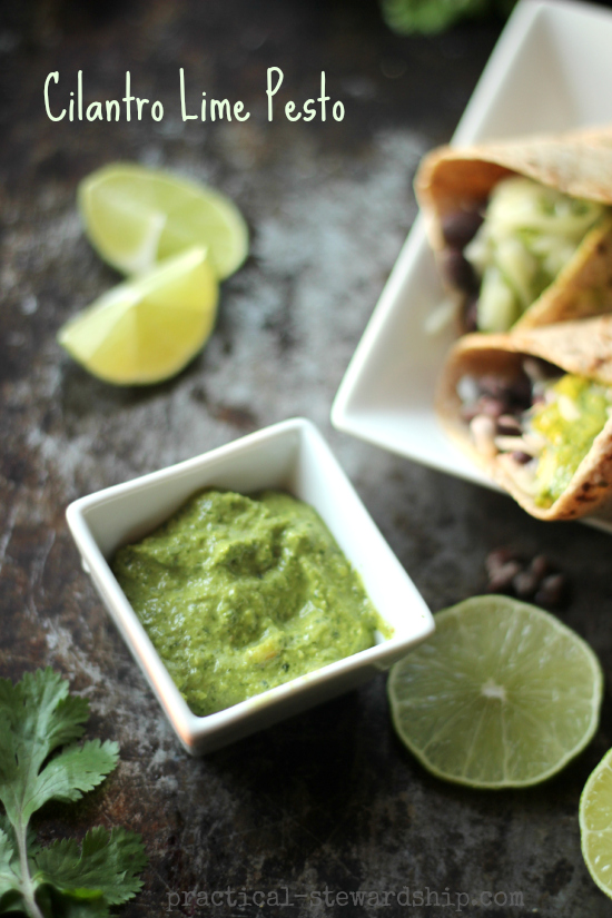 Cilantro Lime Pesto